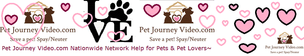 Pet Journey Nationwide Network Help for dog, cats, puppie, kittens, & horses Adopt a pet